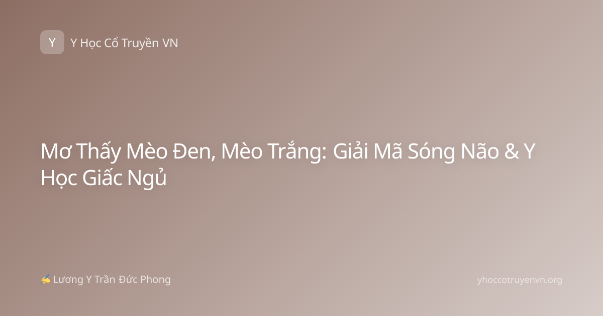 Mơ Thấy Mèo Đen, Mèo Trắng: Giải Mã Sóng Não & Y Học Giấc Ngủ