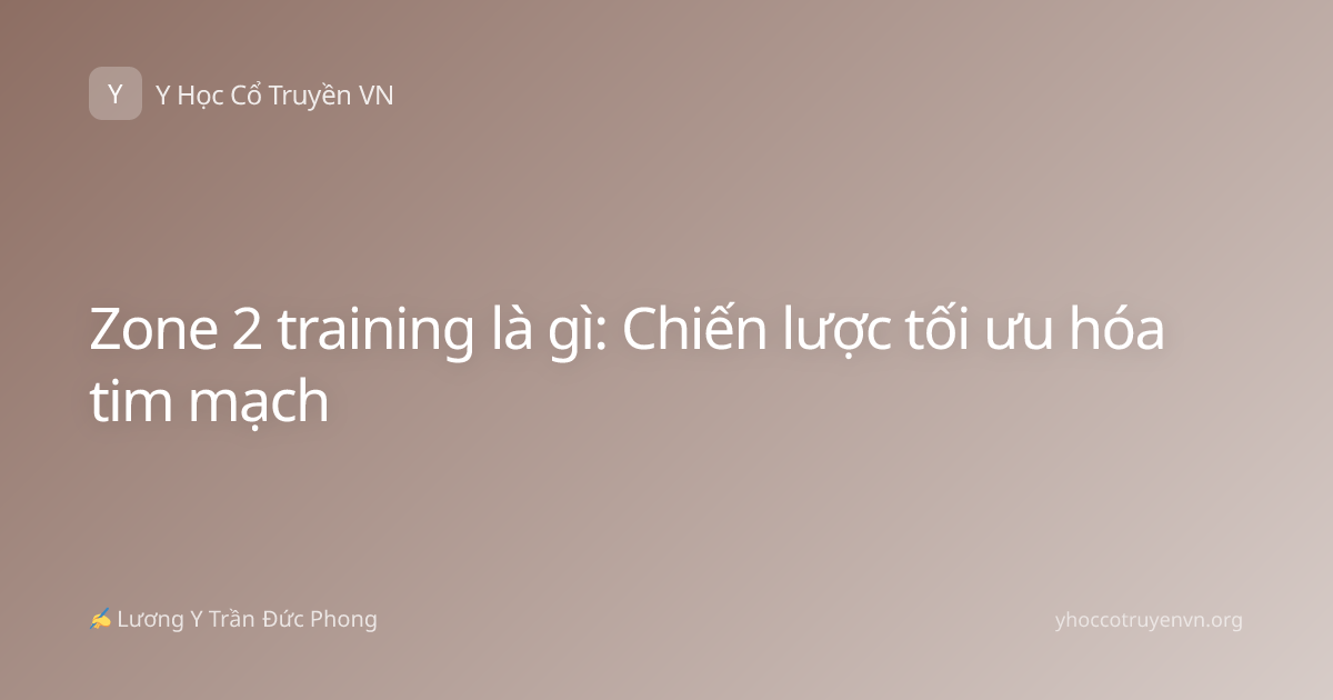 Zone 2 training là gì: Chiến lược tối ưu hóa tim mạch